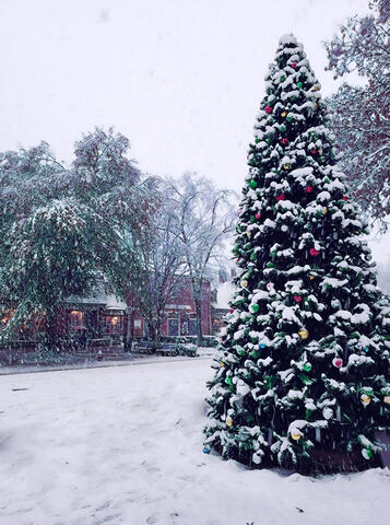 Christmas in Williamsburg, VA